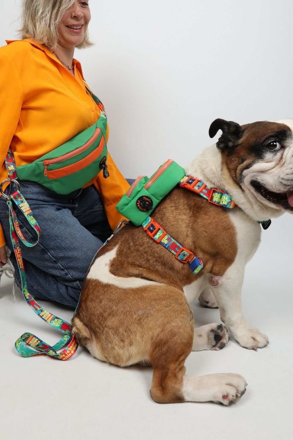 Pawlook-Pawlook , Yeşil, Handsfree, Gezdirme Tasması, Eller Serbest, Gezdirme Kayışı, Handsfree Tasma-Köpek-1-roqelvaxirum.shop