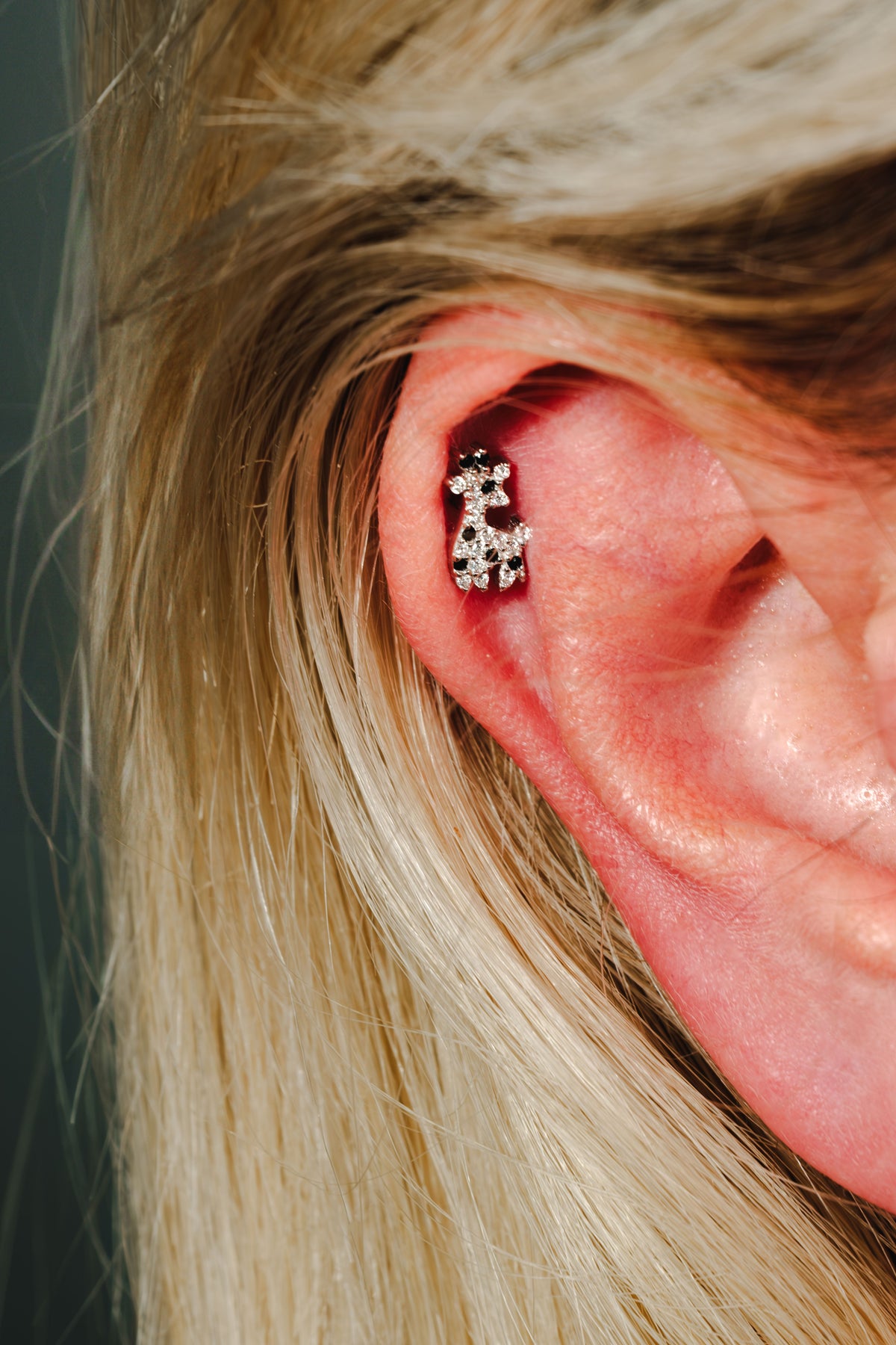 Pia Yuli-Giraffe Piercing-Küpe-5-roqelvaxirum.shop