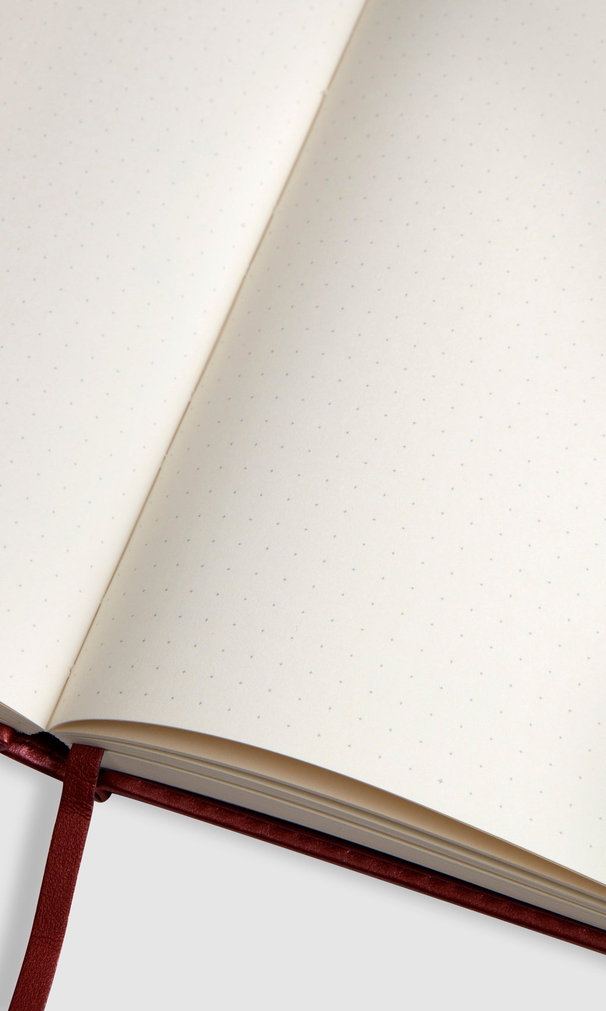 Bullet Journal - Spark