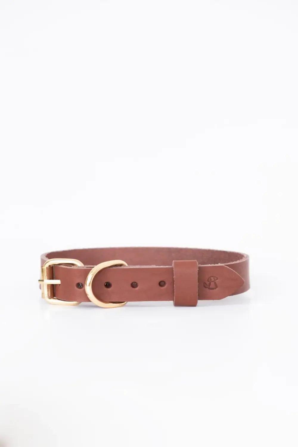 Pups & Itchy-Deri Köpek Boyun Tasması - Rosso-Köpek-2-roqelvaxirum.shop