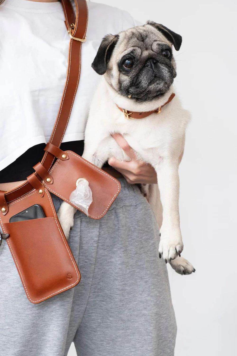 Pups & Itchy-Multibag / Çok Amaçlı Köpek Gezdirme Kemeri - Konyak-Köpek-2-roqelvaxirum.shop