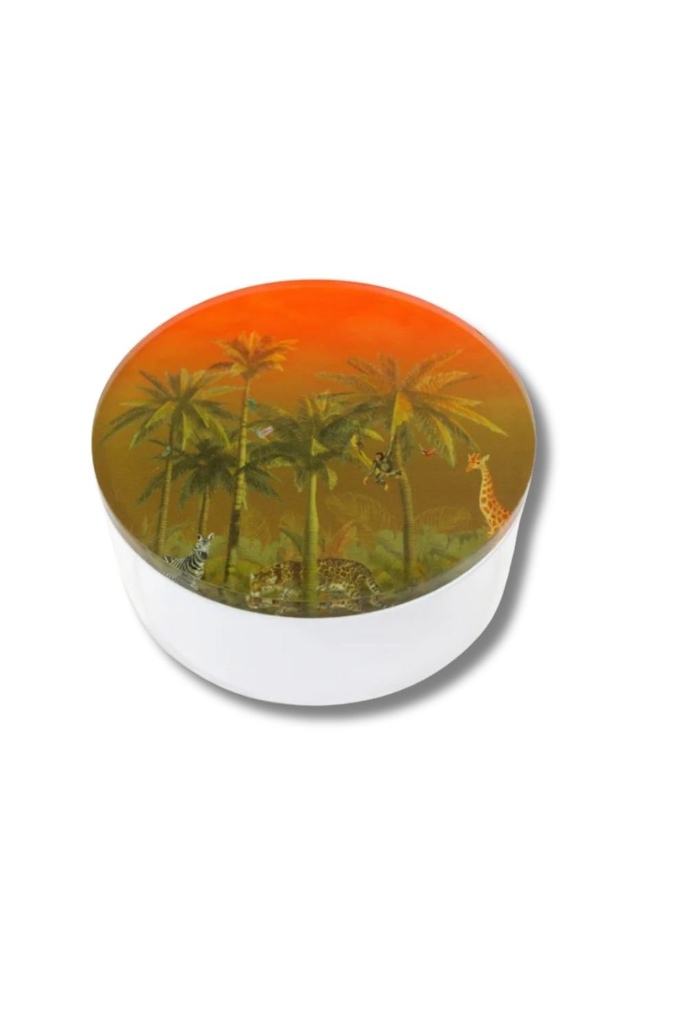 Rooms Design Studio-Wildest Dream 18x6 Büyük Kavanoz-Sunum Aksesuarları-1-roqelvaxirum.shop