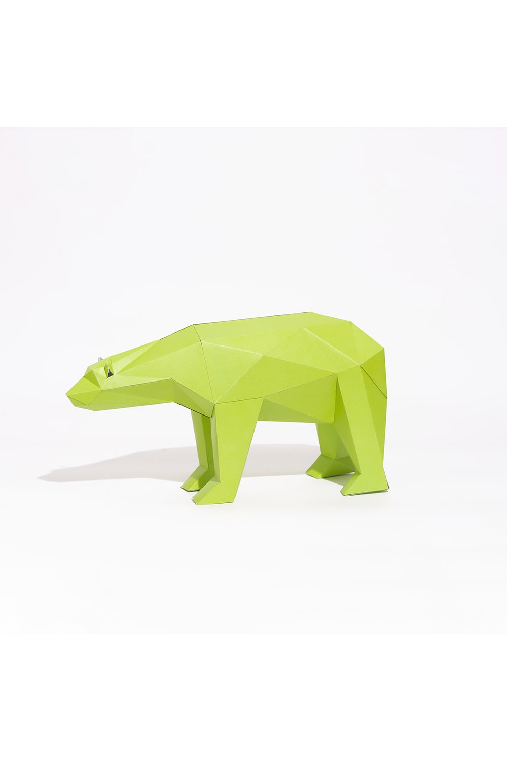 Seb Studio-Kutuplar Seti lime Kendin Yap Heykel Kiti-Heykel Kiti-2-roqelvaxirum.shop