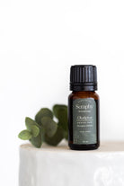 Seraphy Aromatherapy-Okaliptüs Uçucu Yağı - 10ml % 100 Pure-Esansiyel Yağlar-2-roqelvaxirum.shop