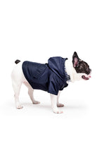 Siena Couture-Fedelta | Gezi Seti-Köpek-7-roqelvaxirum.shop
