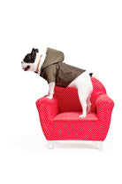 Siena Couture-Fonte Branda Green | Yağmurluk-Köpek-3-roqelvaxirum.shop