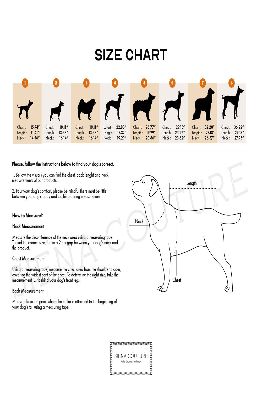 Siena Couture-Fudicia | Gezdirme İpi-Köpek-4-roqelvaxirum.shop