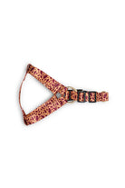 Siena Couture-Fudicia | Göğüs Tasması-Köpek-1-roqelvaxirum.shop