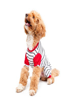 Siena Couture-Pigiama Thin | Pijama-Köpek-3-roqelvaxirum.shop
