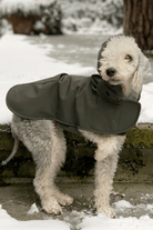 St. Pia-Pluvio Köpek Yağmurluğu-Köpek-4-roqelvaxirum.shop