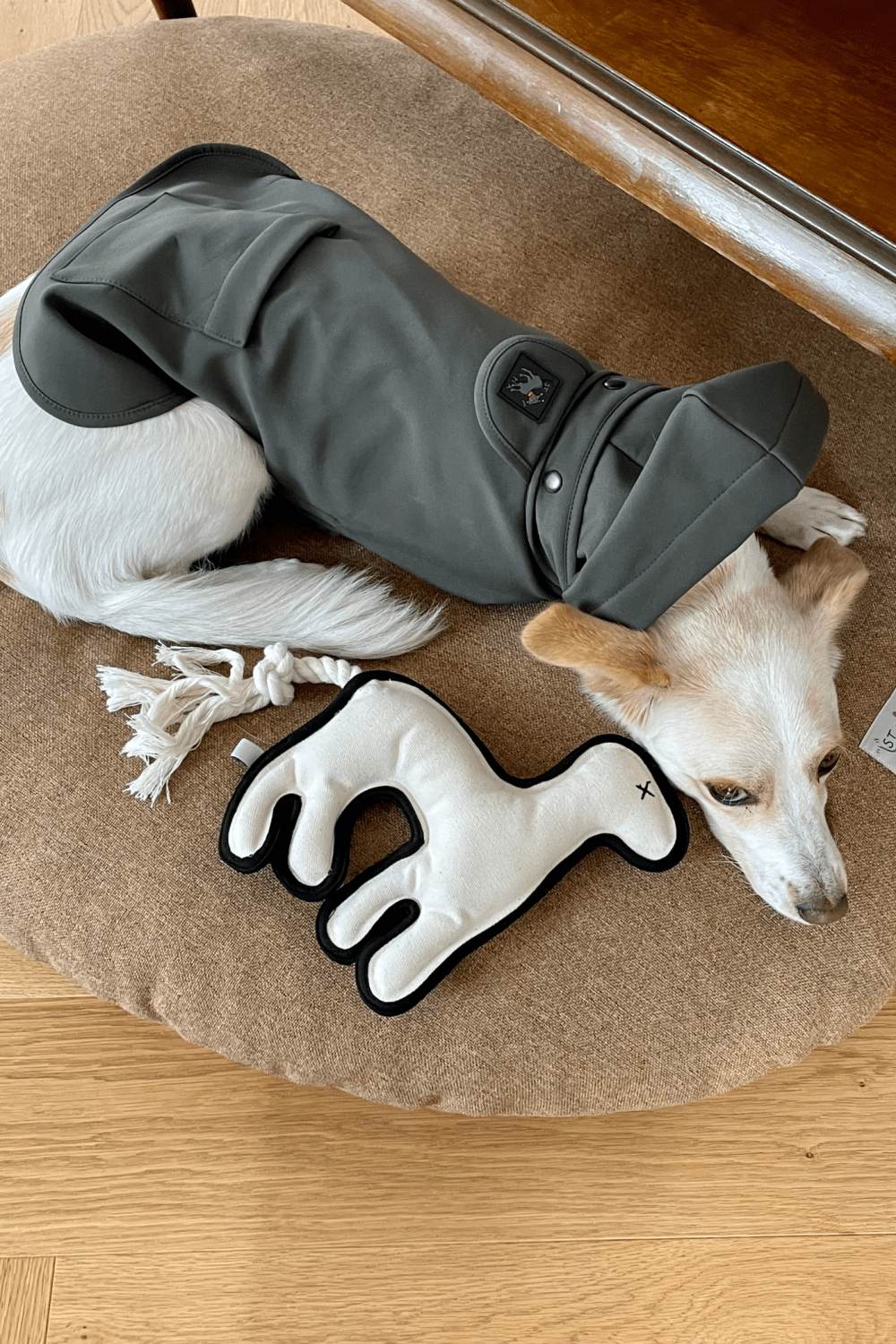 St. Pia-Pluvio Köpek Yağmurluğu-Köpek-5-roqelvaxirum.shop