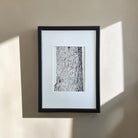 Ağaç Gövdesi Teknik Kalem Fine Art Baskı