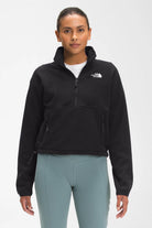The North Face-Women TKA Attitude 1/4 Zip Fleece-Sweatshirts & Hoodies-1-roqelvaxirum.shop