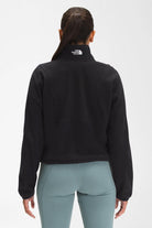 The North Face-Women TKA Attitude 1/4 Zip Fleece-Sweatshirts & Hoodies-2-roqelvaxirum.shop