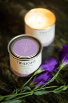 Tinlight-TINLIGHT FIG TREE 170 GR-Mum-3-roqelvaxirum.shop