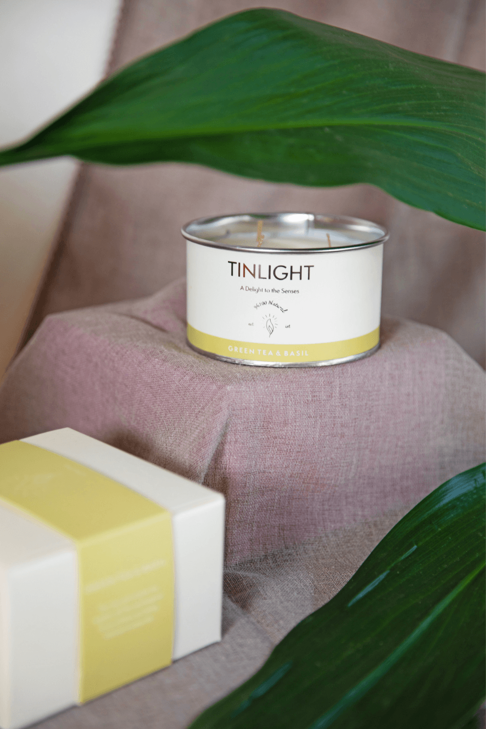 Tinlight-TINLIGHT GREEN TEA AND BASIL 340 GR-Mum-6-roqelvaxirum.shop