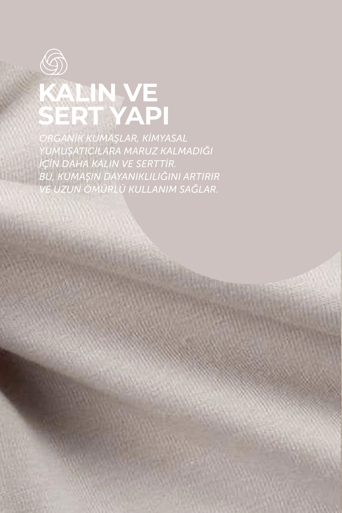 Cepli Oversize Organik Pamuk Tişört