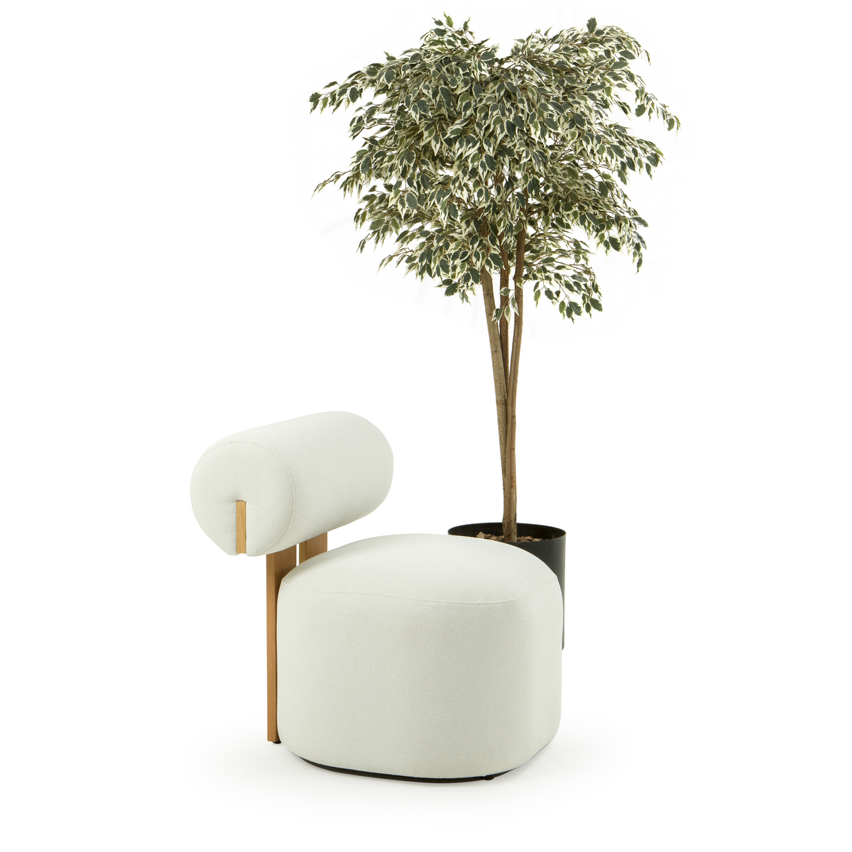 Valnott-Ball Berjer-Berjer-5-roqelvaxirum.shop