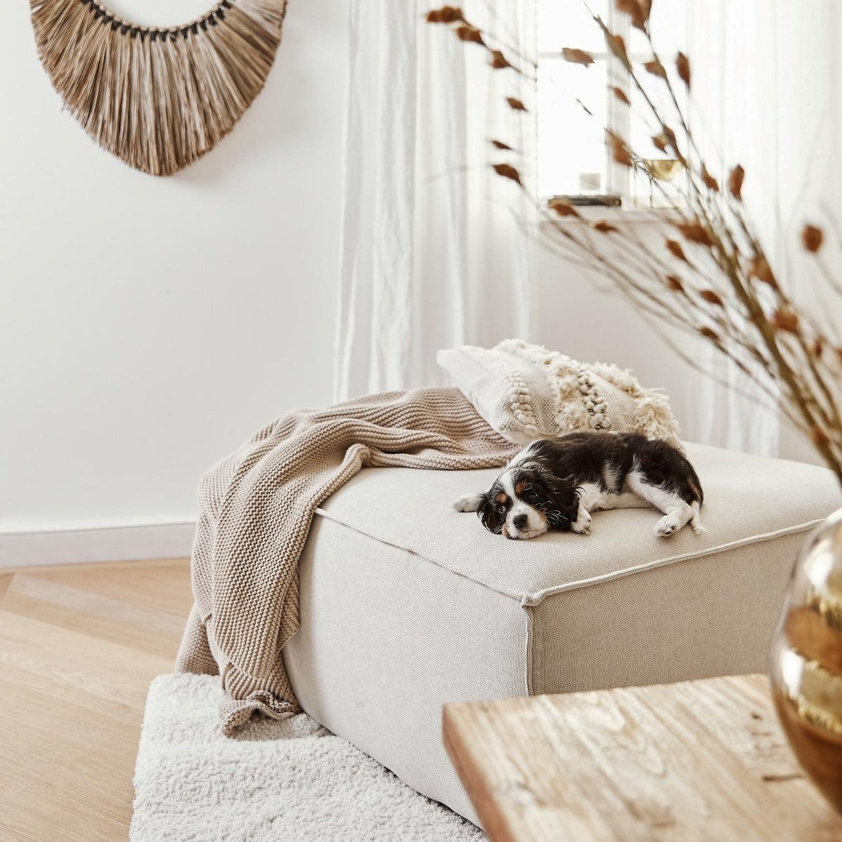 Valnott-Ravi Puf-Puf-2-roqelvaxirum.shop