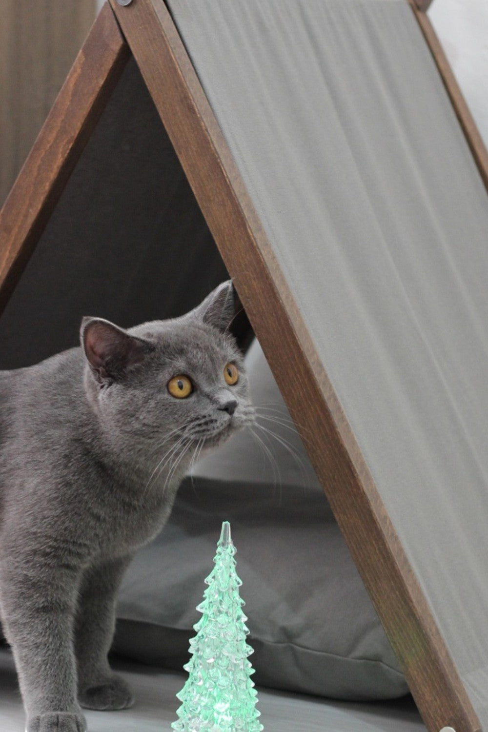Vune Concept-Ketu Kedi Evi - Gri-Kedi-3-roqelvaxirum.shop