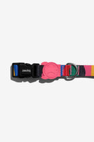 ZEE.DOG-Chroma Boyun Tasması-Köpek-2-roqelvaxirum.shop