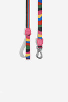 ZEE.DOG-Chroma Gezdirme Tasması-Köpek-1-roqelvaxirum.shop