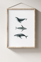 Zeynep Akdemir | Creative Studio-Whales Artprint-Baskı-1-roqelvaxirum.shop