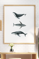 Zeynep Akdemir | Creative Studio-Whales Artprint-Baskı-3-roqelvaxirum.shop