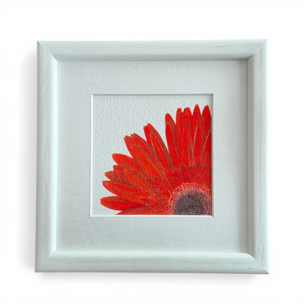 Gerbera Suluboya Fine Art Baskı