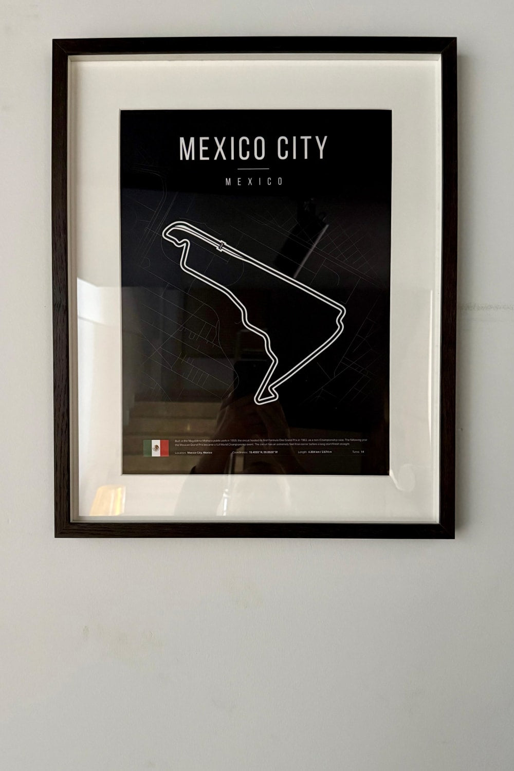 livingstore-F1 Runway Mexico Cıty-Duvar Dekorları-1-roqelvaxirum.shop