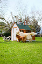 Ultra Lüks Ahşap Köpek Kulübesi (Evi) - 6