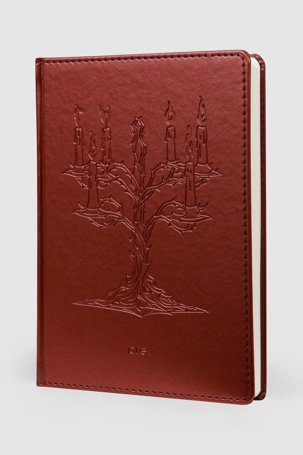 Rewoke Defter – A5 Elma Derisi Ciltli - 0