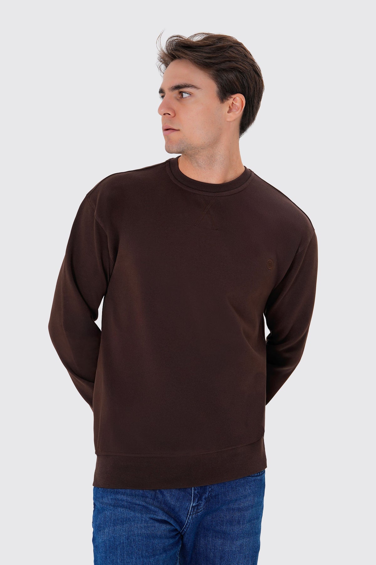 Regular Fit Logo Nakışlı Sweatshirt, Kahverengi - 2