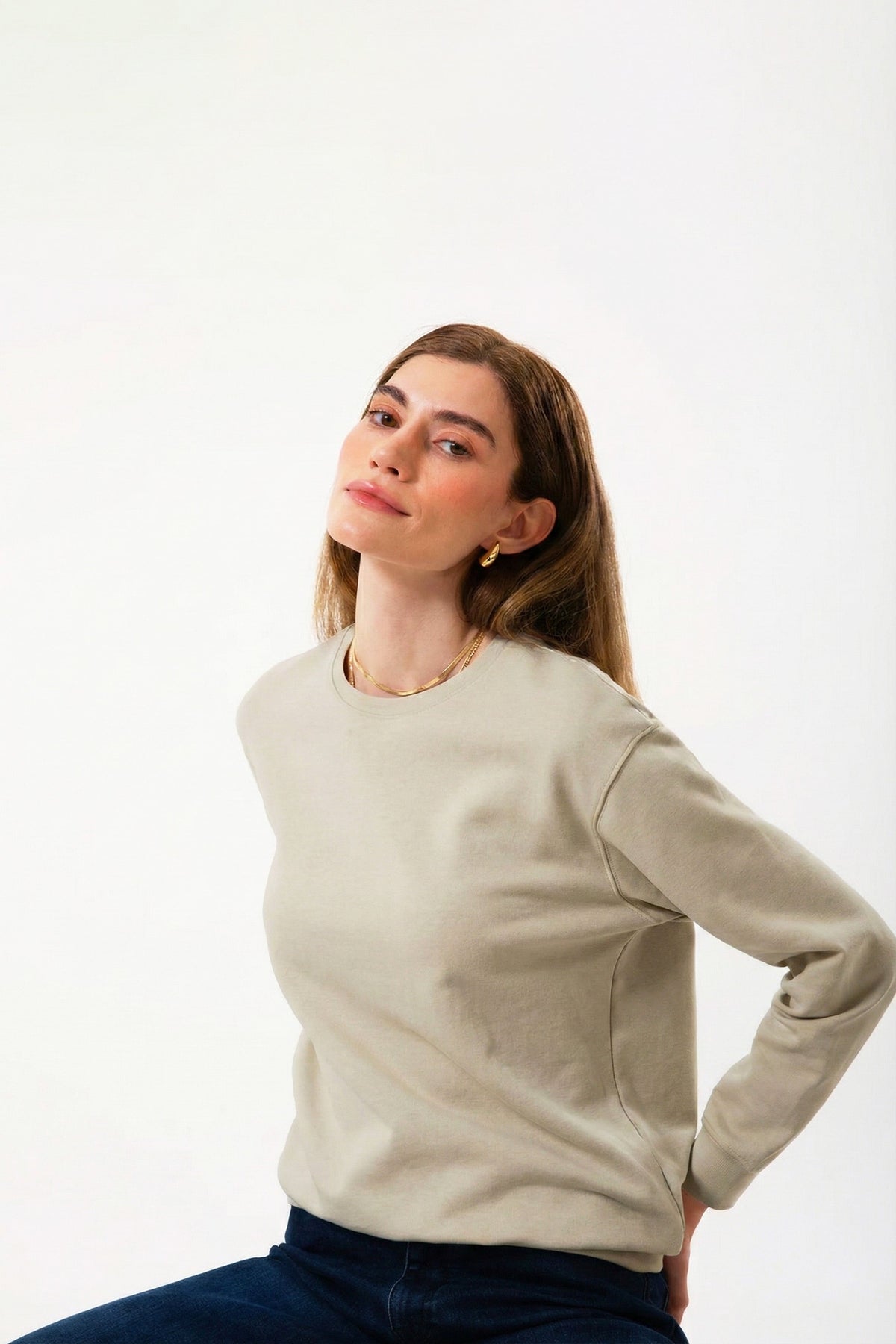 Regular Fit Logo Nakışlı Sweatshirt, Bej - 1
