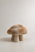 Truffle Pouf - 1