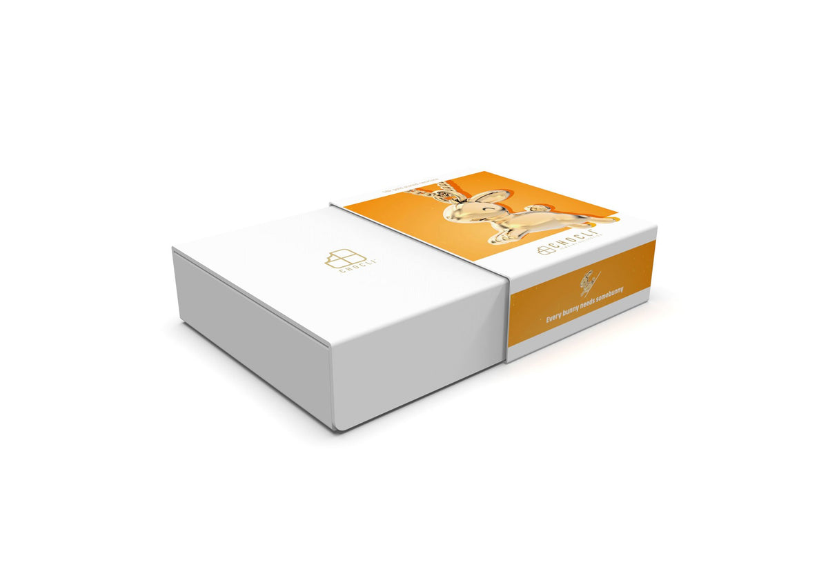 Chocli-18 Ayar Altın Kaplama Tavşan Kolye-Kolye-7-roqelvaxirum.shop