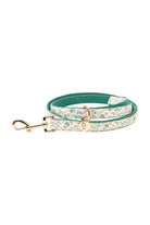 Gliparis-Lugo Gezdirme Tasması-Köpek-1-roqelvaxirum.shop
