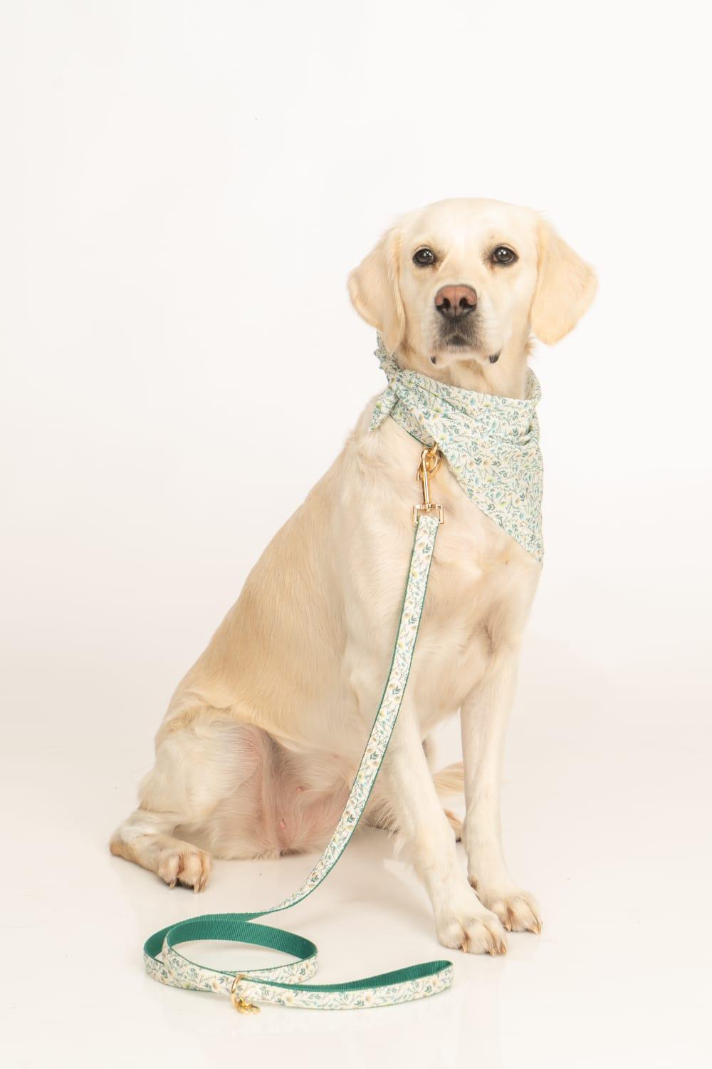 Gliparis-Lugo Köpek Bandana-Köpek-4-roqelvaxirum.shop