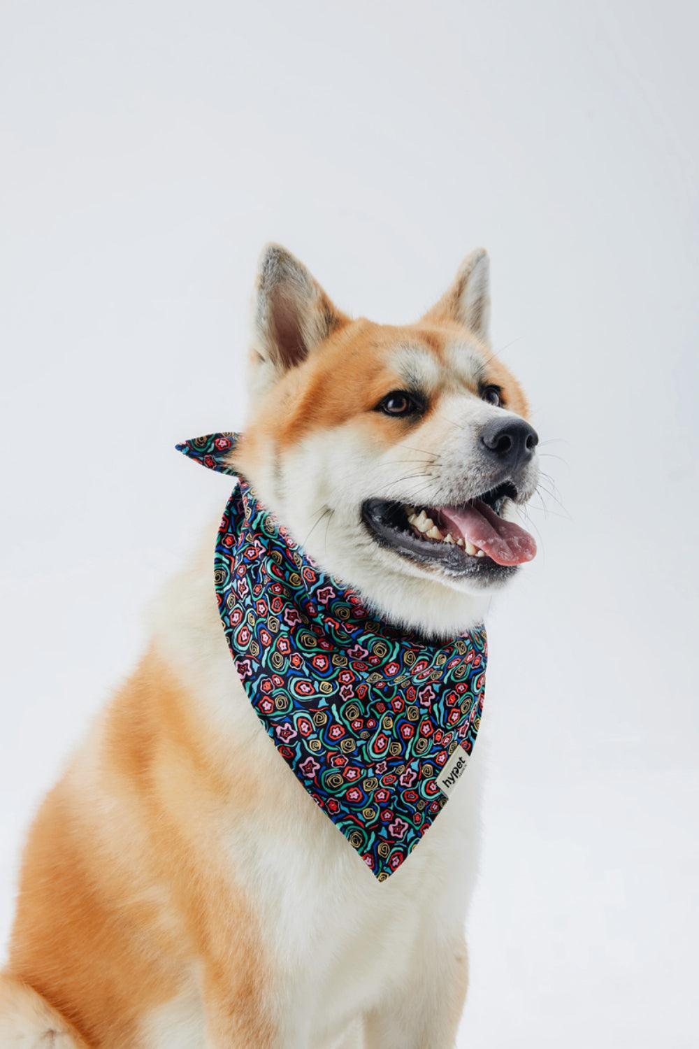 Hypet Fashion-Abstract Flowers Bandana-Köpek-4-roqelvaxirum.shop