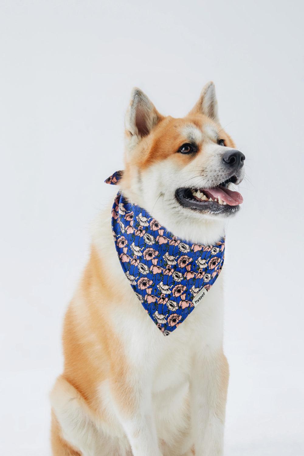 Hypet Fashion-Bloom Bandana-Köpek-3-roqelvaxirum.shop