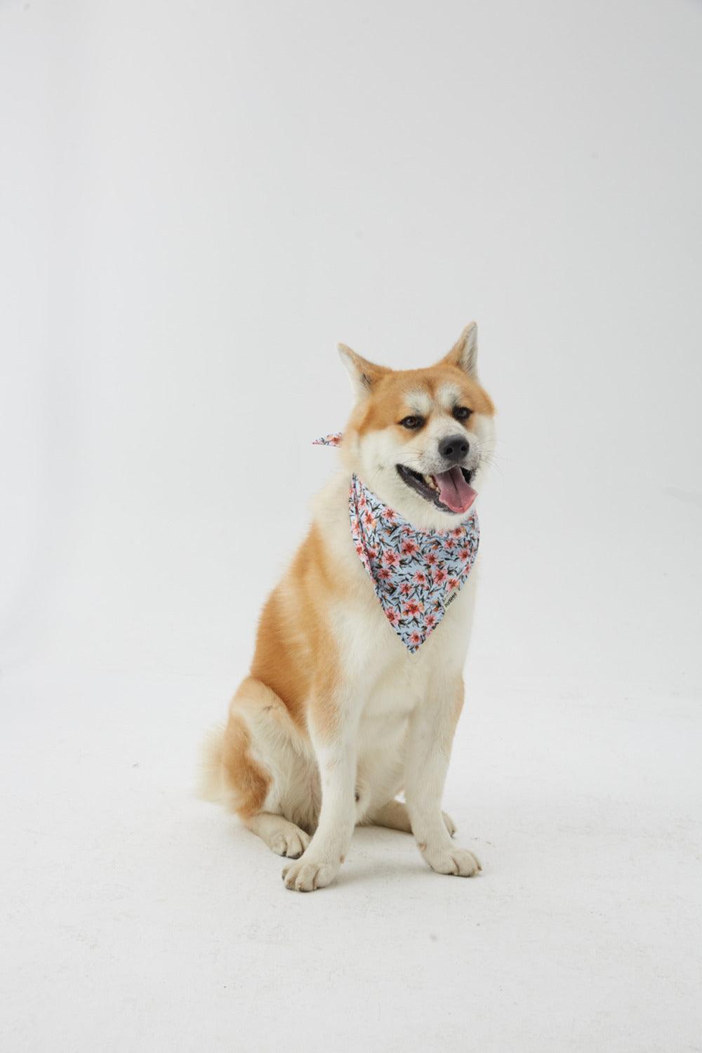 Hypet Fashion-Blue Floral Bandana-Köpek-1-roqelvaxirum.shop
