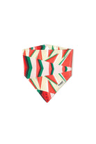 Hypet Fashion-Watermelon Bandana-Köpek-1-roqelvaxirum.shop