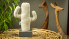 Kayigo-Cactus Lavanta Dolgulu Notluk-Masaüstü Organizer-6-roqelvaxirum.shop
