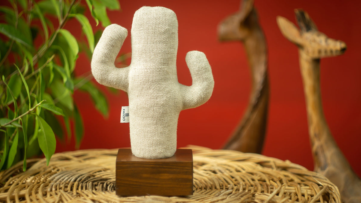 Kayigo-Cactus Lavanta Dolgulu Notluk-Masaüstü Organizer-6-roqelvaxirum.shop