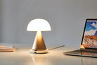 Lexon-Mina L Led Lamba-Masa Lambası-2-roqelvaxirum.shop