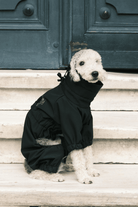 St. Pia-Astro Köpek Tulum Mont - Siyah-Köpek-4-roqelvaxirum.shop